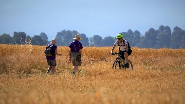 Image d'illustration de l'article de blog du site actifi50.com qui a pour titre : Tongkat Ali Solaray France : tout ce que vous devez savoir. Cette illustration montre des hommes actifs et souriants, symbolisant la vitalité et le bien-être grâce au Tongkat Ali.